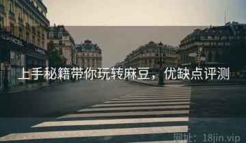上手秘籍带你玩转麻豆，优缺点评测