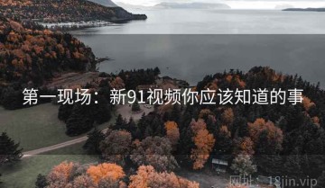 第一现场：新91视频你应该知道的事