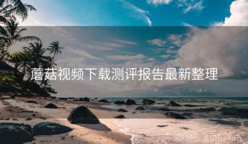 蘑菇视频下载测评报告最新整理