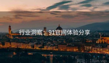 行业洞察：91官网体验分享