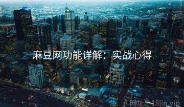 麻豆网功能详解：实战心得