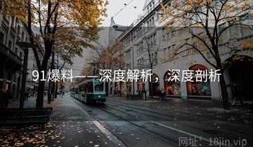 91爆料——深度解析，深度剖析