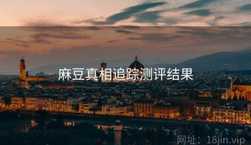麻豆真相追踪测评结果