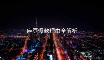 麻豆爆款理由全解析