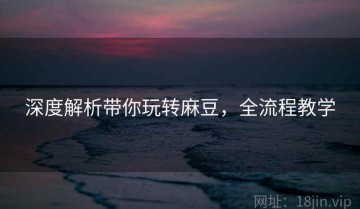 深度解析带你玩转麻豆，全流程教学