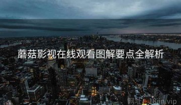 蘑菇影视在线观看图解要点全解析