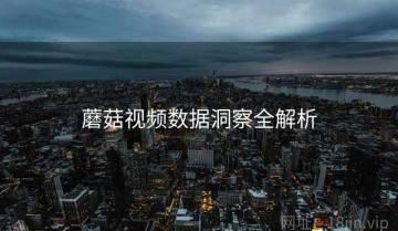 蘑菇视频数据洞察全解析