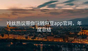 粉丝热议带你玩转麻豆app官网，年度总结