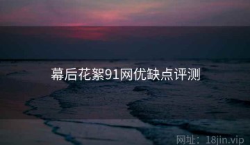 幕后花絮91网优缺点评测