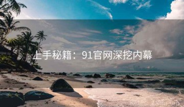 上手秘籍：91官网深挖内幕