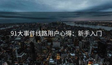 91大事件线路用户心得：新手入门