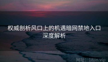 权威剖析风口上的机遇暗网禁地入口深度解析