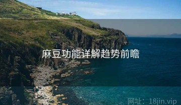 麻豆功能详解趋势前瞻