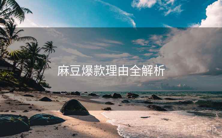 麻豆爆款理由全解析