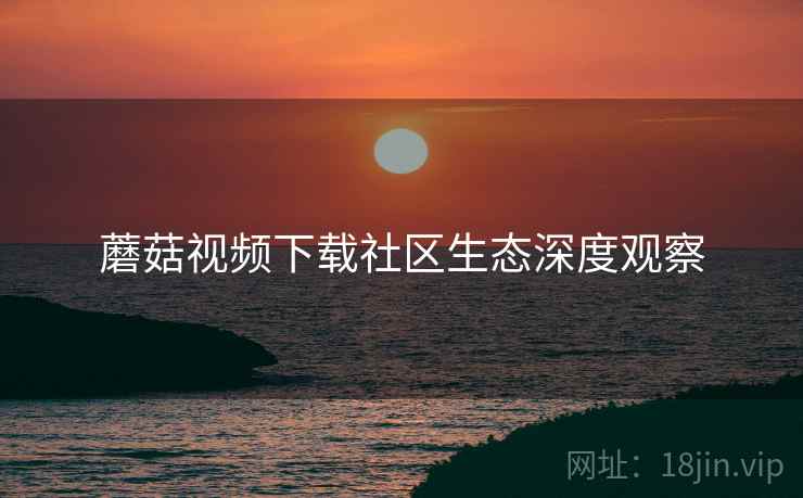 蘑菇视频下载社区生态深度观察