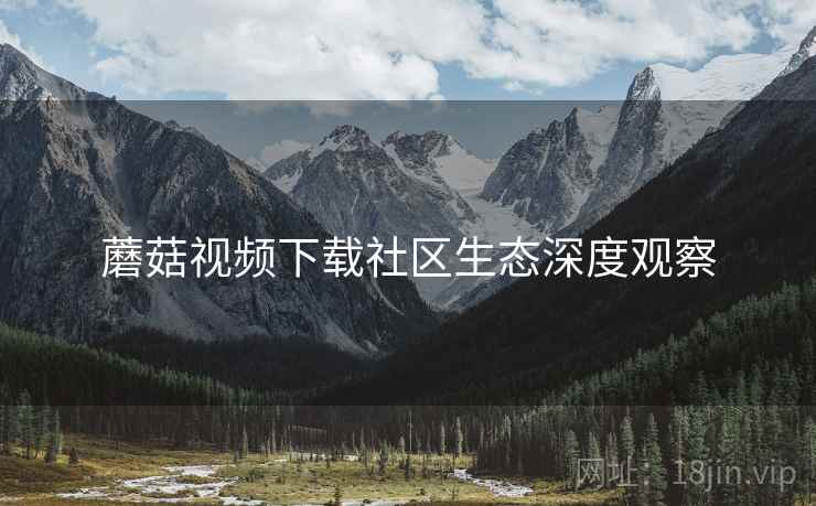 蘑菇视频下载社区生态深度观察