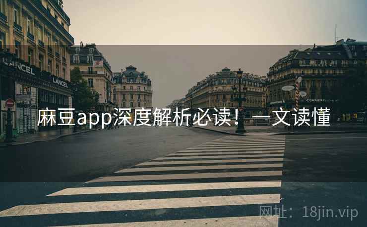 麻豆app深度解析必读！一文读懂
