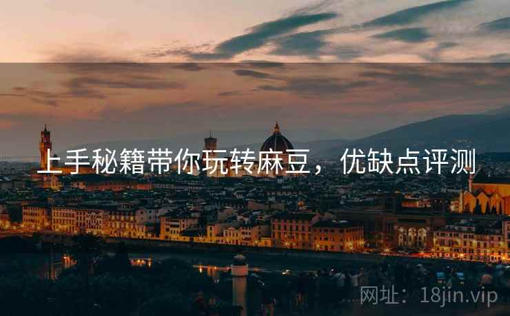 上手秘籍带你玩转麻豆，优缺点评测
