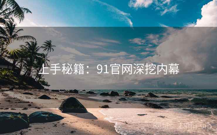 上手秘籍：91官网深挖内幕