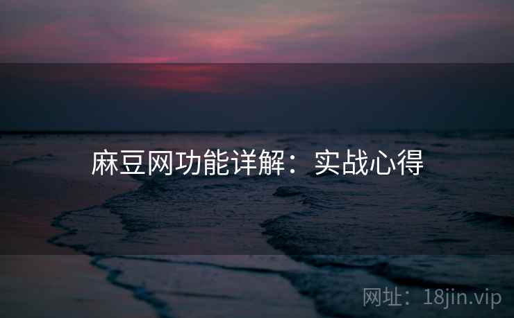 麻豆网功能详解：实战心得