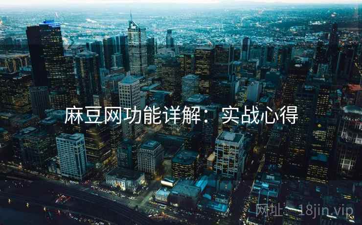 麻豆网功能详解：实战心得