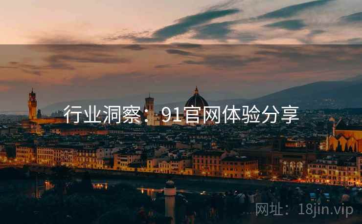 行业洞察：91官网体验分享