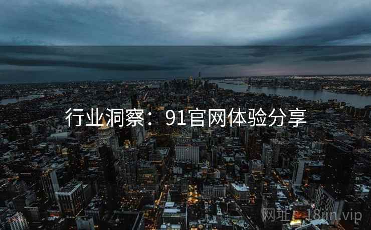 行业洞察：91官网体验分享