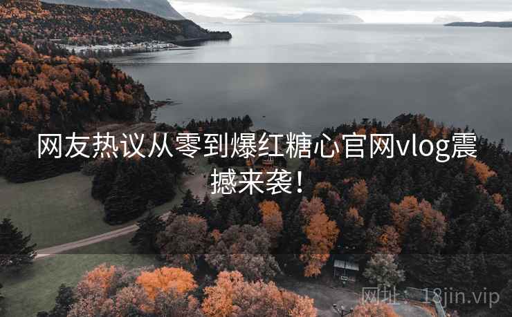 网友热议从零到爆红糖心官网vlog震撼来袭！