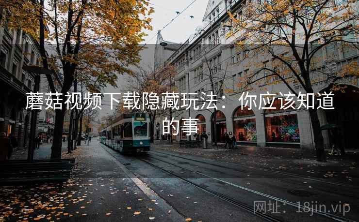 蘑菇视频下载隐藏玩法：你应该知道的事