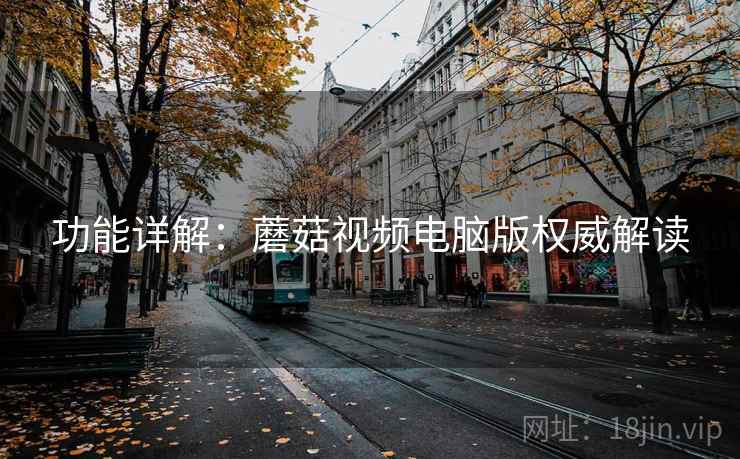 功能详解：蘑菇视频电脑版权威解读