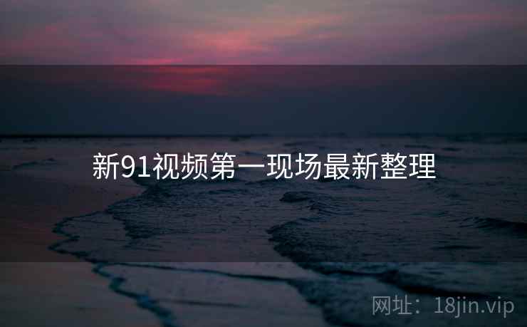新91视频第一现场最新整理