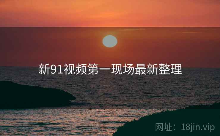 新91视频第一现场最新整理