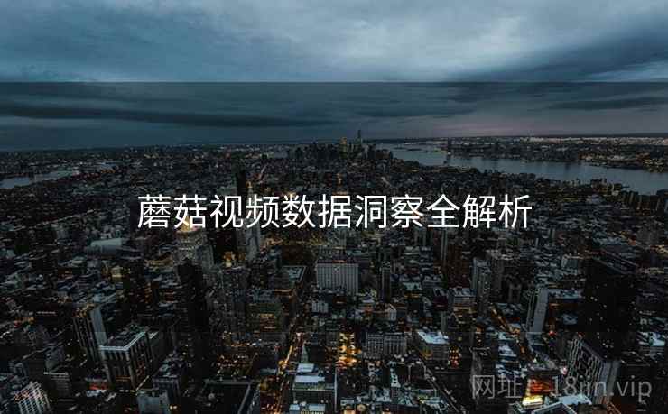 蘑菇视频数据洞察全解析