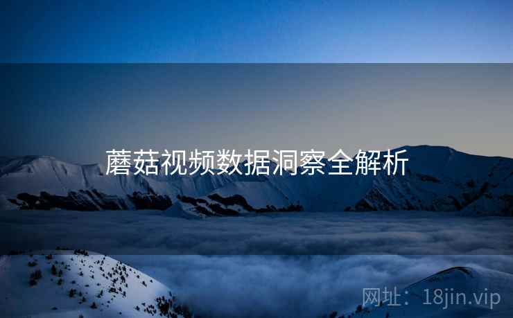 蘑菇视频数据洞察全解析