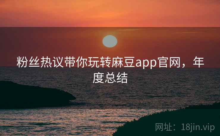 粉丝热议带你玩转麻豆app官网，年度总结