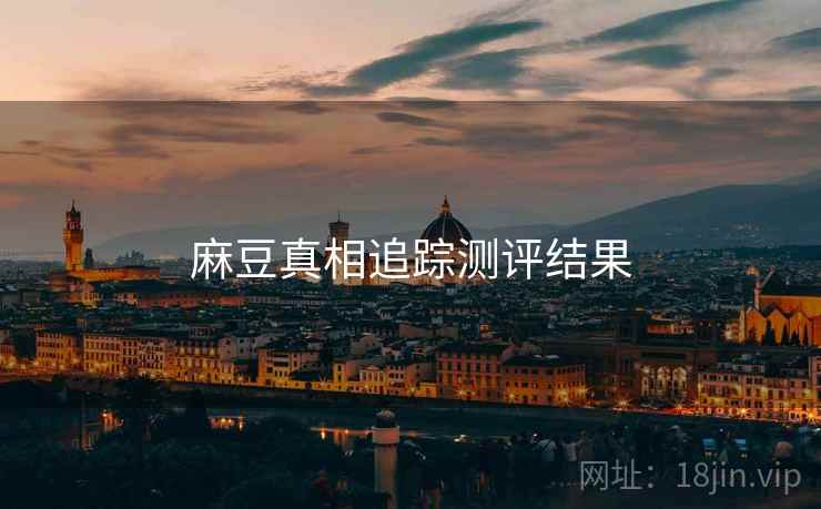 麻豆真相追踪测评结果