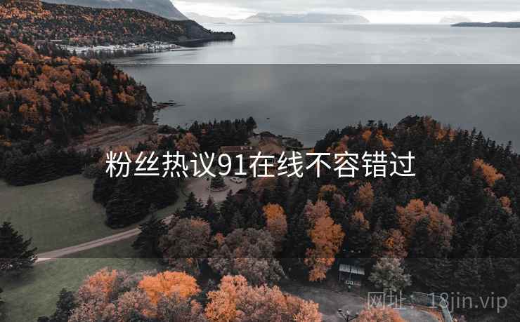 粉丝热议91在线不容错过