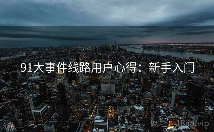 91大事件线路用户心得：新手入门