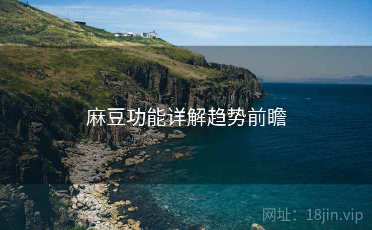 麻豆功能详解趋势前瞻